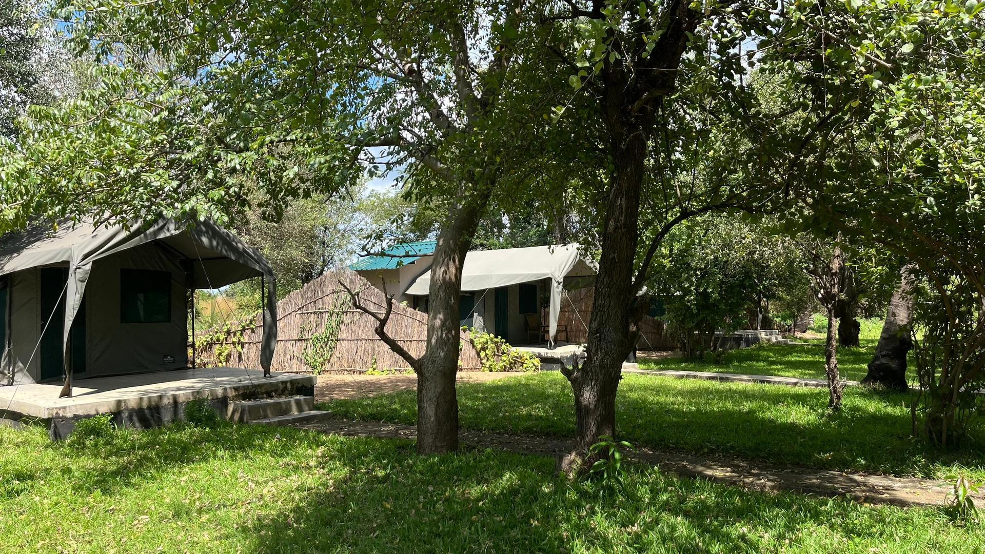 Row of Safari Tents